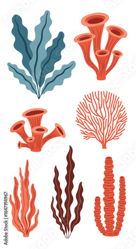Diverse underwater marine flora and coral collection for ocean ecosystems