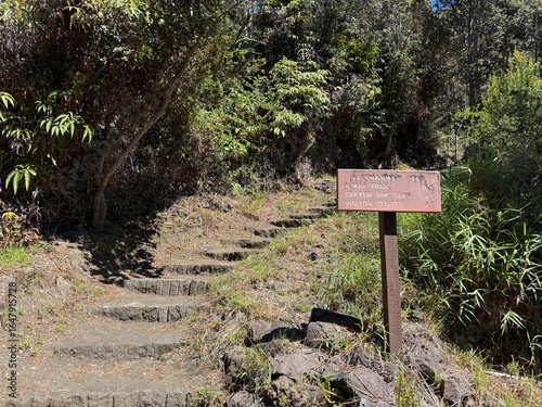 Fotografia USA, Hawaii, The Big Island, Hilo, Volcanoes National Park, Halemaumau stair Tra