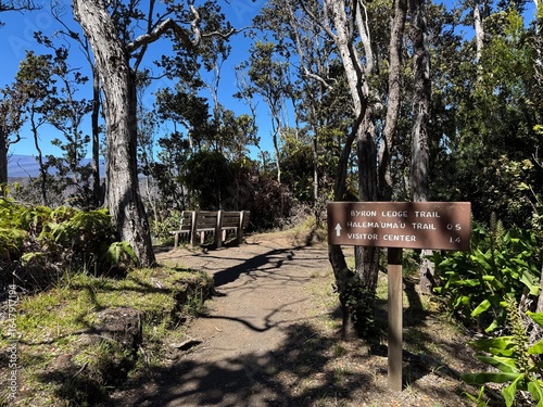 Fotografi USA, Hawaii, The Big Island, Hilo, Volcanoes National Park, Byron Ledge Trail Sp