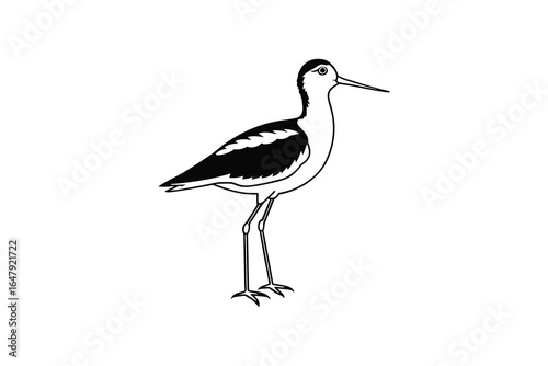 a black and white bird with long legs and a long beak standing alone silhouette