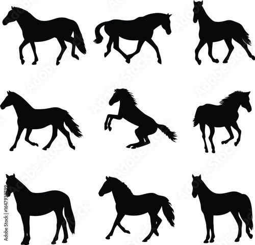 Equine Silhouettes A Dynamic Collection of Horses in Various Poses Against a Stark White Backdrop Illustration