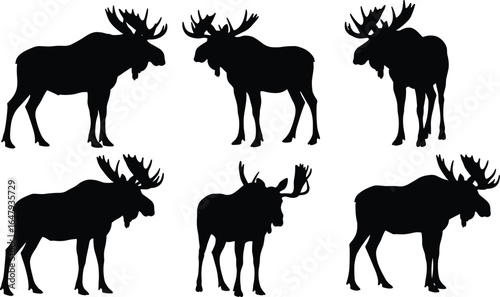 Set of six moose silhouettes with large antlers in various standing poses, ideal for wildlife, hunting, forest, and nature designs