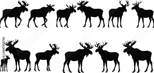 Collection of moose and elk silhouettes in various poses including walking, grazing, and standing, vector wildlife illustration for nature designs