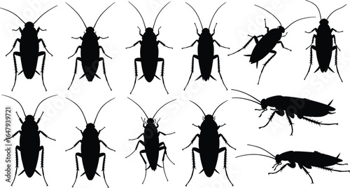 Cockroach silhouette set, black vector insect illustration, pest control icons, crawling bug shapes, detailed insect design, isolated cockroach art graphics