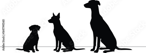 Silhouette of three dogs, small medium large, sitting side by side, pet animal vector, dog breed outlines, canine posture art, puppy and adult dogs, black dog silhouette,