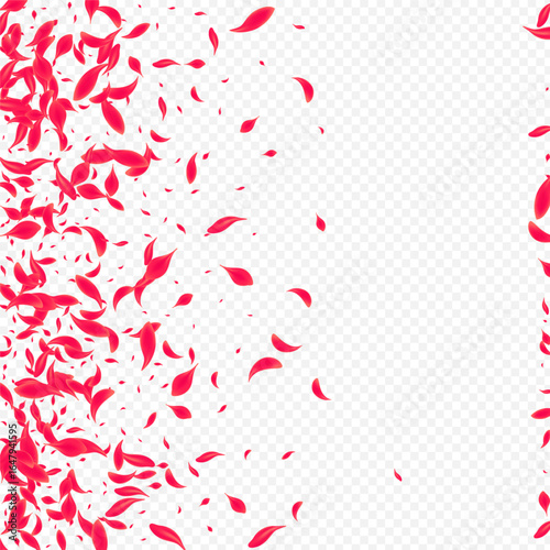 Pink_Petal_Flying_Vector_Transparent_638.eps