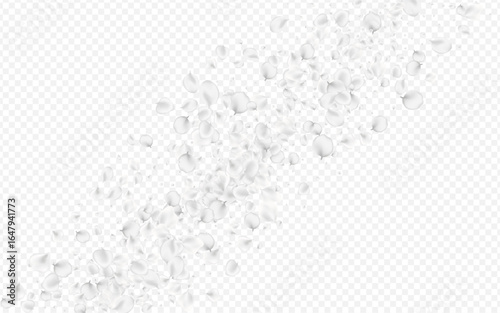 White_petals_transparent_background_407.eps