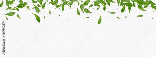 3360X1225panor-02__leif_12_01.eps