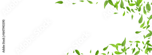 Leaves_Vortex_Flying_Vector_Background_78.eps