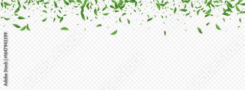 3360X1225panor-02__leif_6_01.eps