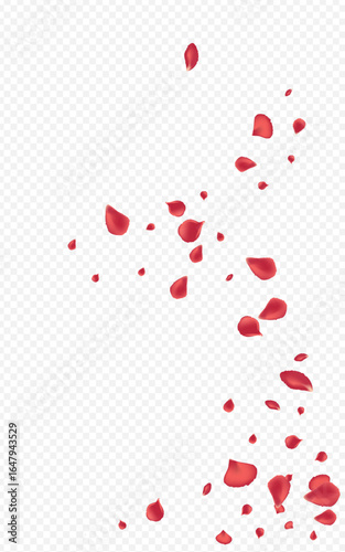 Red_Rose_Petal_Transparent_Background_45.eps