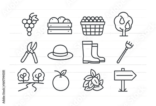 Fruit Harvest Icons. Outline icon set of fruit harvesting: grape bunch, citrus crate, berry basket, pear tree,