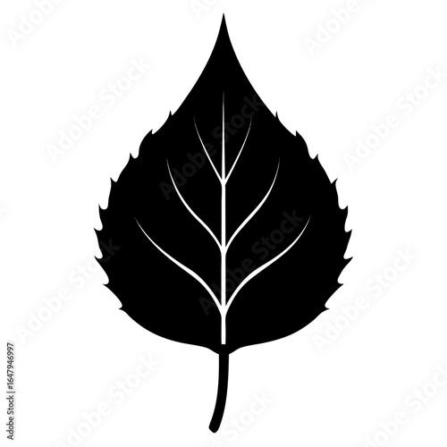 cottonwood leaf silhouette vector