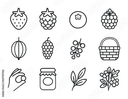 Berry Harvest Icons. Outline vector icons of berry harvest season: strawberry, raspberry, blueberry,