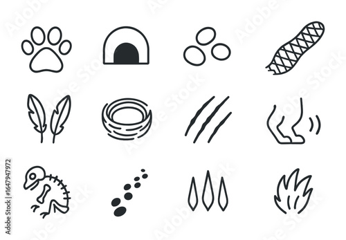 Desert Animal Track Icons. Outline icon set of desert animal tracks and signs: paw print, burrow hole, dung