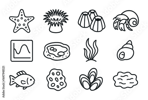 Tidal Pools Icons. Outline icon set of tidal pools: starfish, sea anemone, barnacle, hermit crab, tide chart,