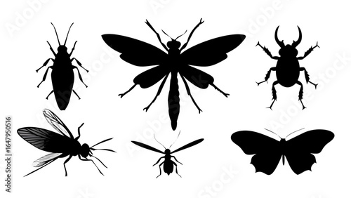 Silhouette insect set vector illustration featuring butterfly beetle grasshopper and other bugs isolated