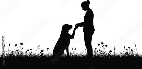 Silhouette, woman training dog, giving paw, obedience training, pet interaction
