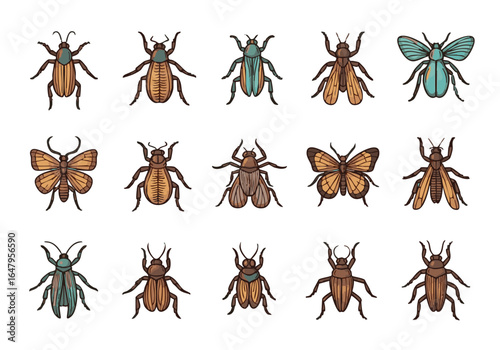Diverse Collection of Insects Beetles and Butterflies Illustration on White Background Great for Educational Purposes or Creative Projects
