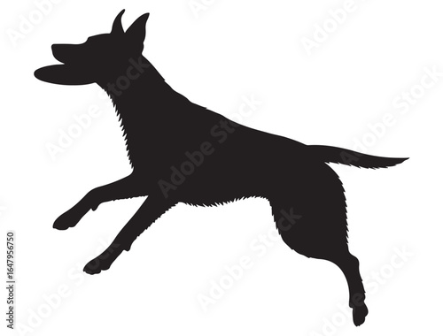 FRISBEE DOG SILHOUETTE