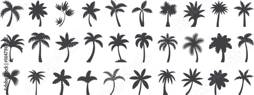 Collection of Dark Gray Palm Tree Silhouettes tropical nature