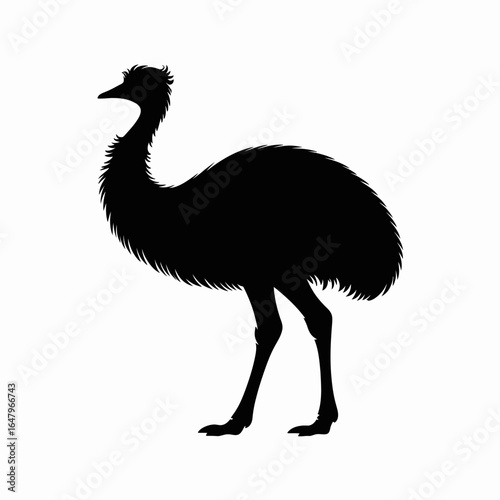 Silhouette of an Emu Bird on White Background
