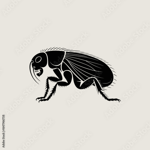 Insect Illustration Black Flea Design