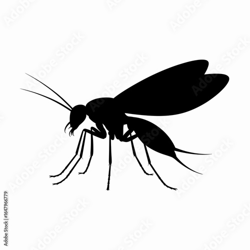 Insect Silhouette Black Mosquito Illustration
