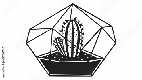 Illustration of a cactus terrarium with geometric glass and black base design
