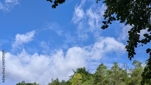 Blue sky with scattered clouds above green forest in summer