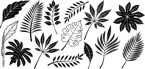 Leaf silhouettes vector set featuring tropical, floral, and botanical elements. nature design collection includes various leaf shapes perfect for eco, organic, and decorative art or digital project 