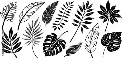 Leaf silhouettes vector set featuring tropical, floral, and botanical elements. nature design collection includes various leaf shapes perfect for eco, organic, and decorative art or digital project 