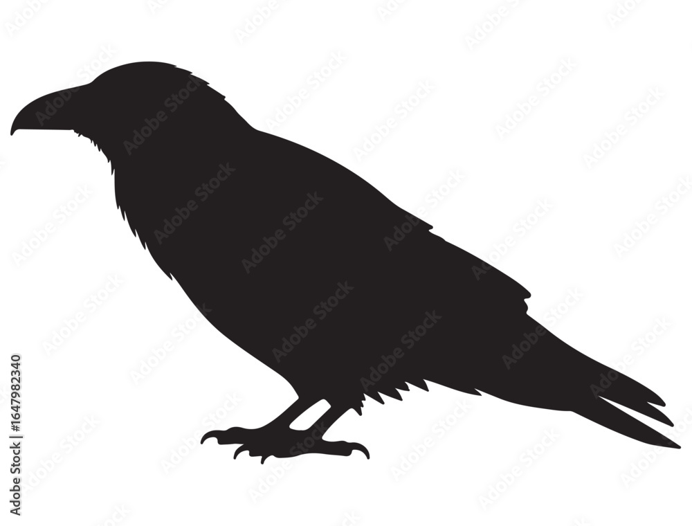 Fototapeta premium RAVEN SILHOUETTE