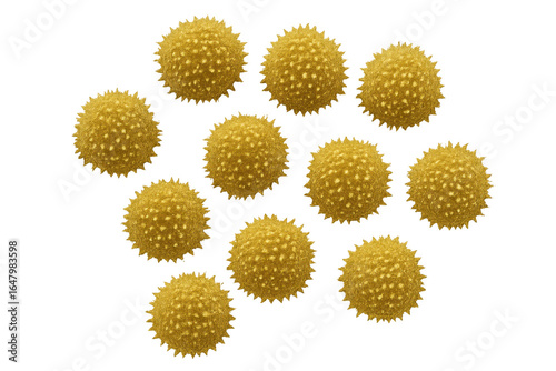 Golden pollen grains floating on a transparent background