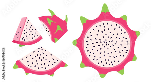 Dragon fruit slices tropical fruit exotic food illustration