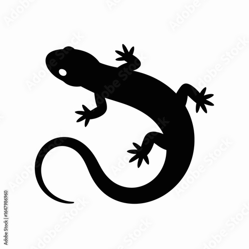 Lizard Silhouette on White Background