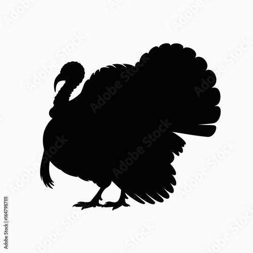 Turkey Silhouette on White Background
