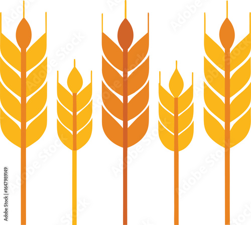 Illustration of wheat ears isolated on white background, a symbol of agriculture