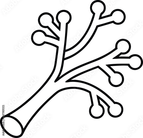 alveoli outline icon