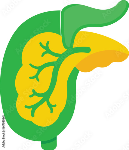 gallbladder vector icon illustration