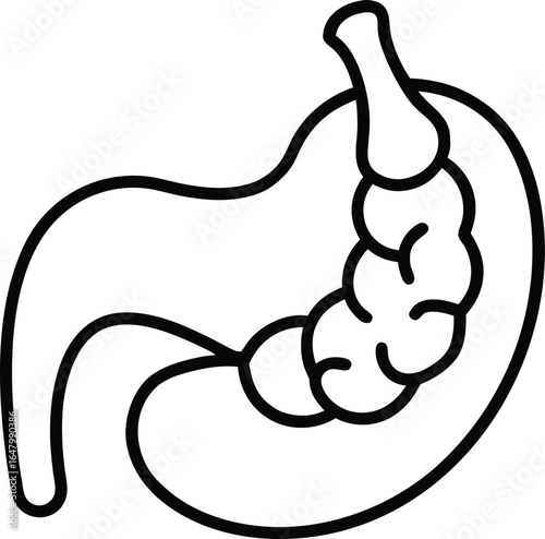 human pancreas internal organ vector icon