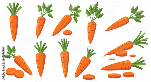 Collection of Cartoon Carrots with Leaves and Slices