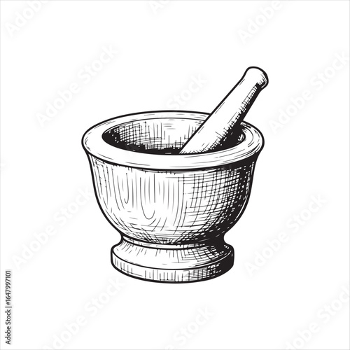 Vintage hand drawn mortar and pestle apothecary illustration