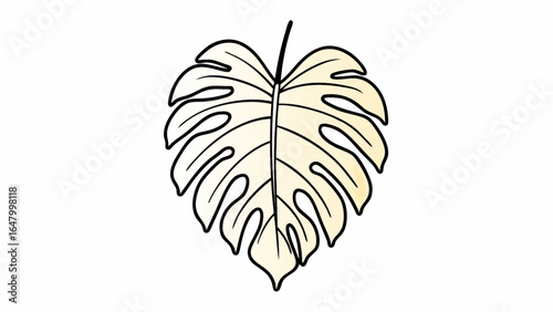 Illustration of a monstera leaf with distinct fenestrations and veining