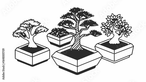 Four bonsai trees in pots with different styles of foliage in black and white
