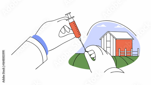 Hands inject a syringe into a farm animal, vaccination concept.
