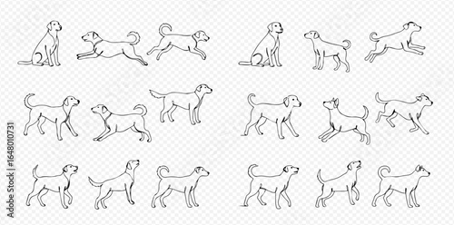 A set of black and white line art illustrations depicting a dog in various poses and animation frames for walking, running, and sitting.