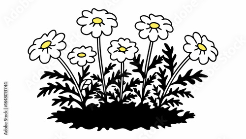 Illustration of a flower bed with daisies and dark green foliage design