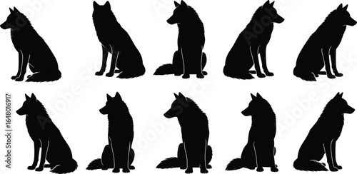 Ten Sitting Wolf Silhouettes in Side Profile, Black Vector Icons with Bushy Tails and Pointed Ears, Wildlife Graphic Design Elements