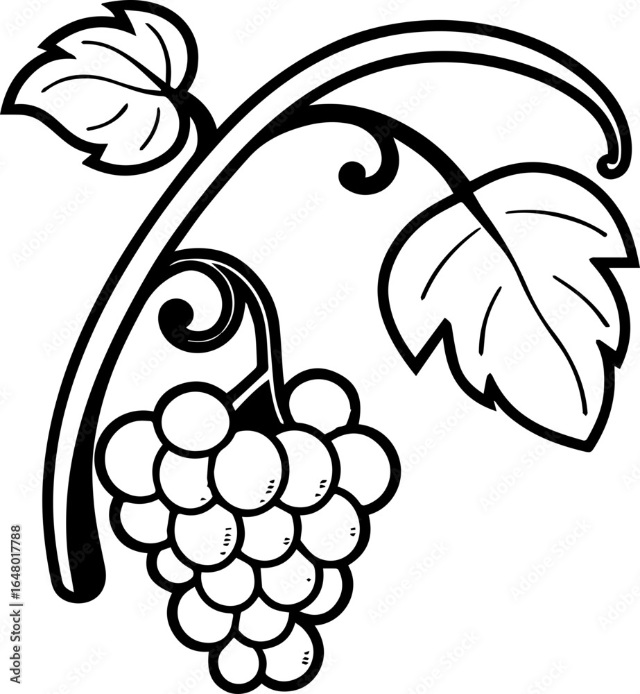 Obraz premium SVG vector illustration of grapevine style.Grapevine Illustration with Leaves and Bunch of Grapes